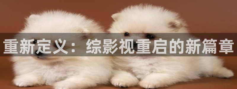 桃子影院免费高清完整版：重新定义：综影视重启的新篇章