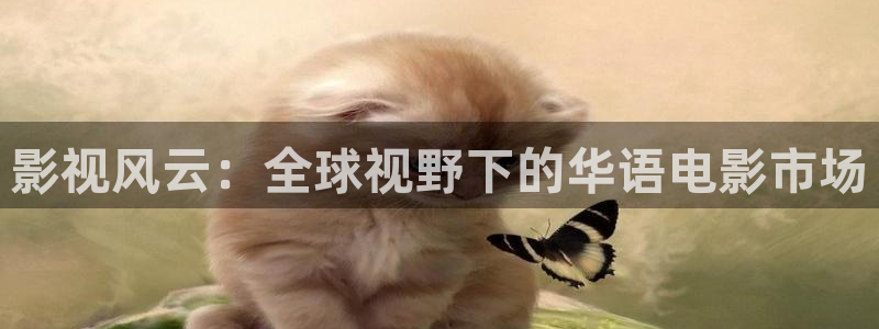 色桃子电影：影视风云：全球视野下的华语电影市场