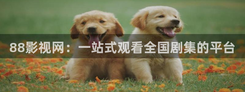 桃子在线影院：88影视网：一站式观看全国剧集的平台
