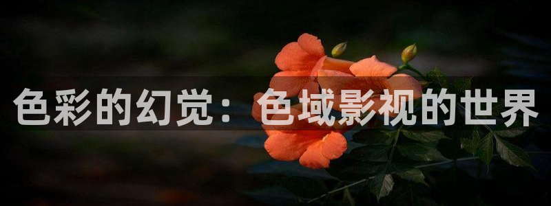 桃子在线观看：色彩的幻觉：色域影视的世界