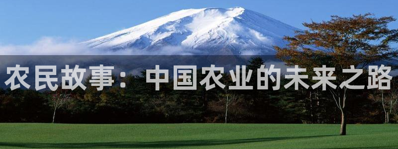 桃子影院在线观看电视剧全集免费：农民故事：中国农业的未来之路